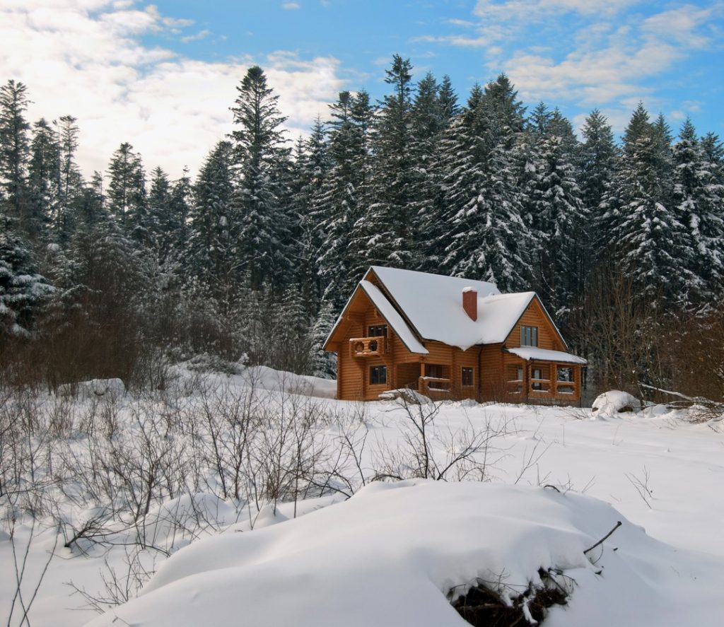 comment-entretenir-bois-cabane-jardin-hiver