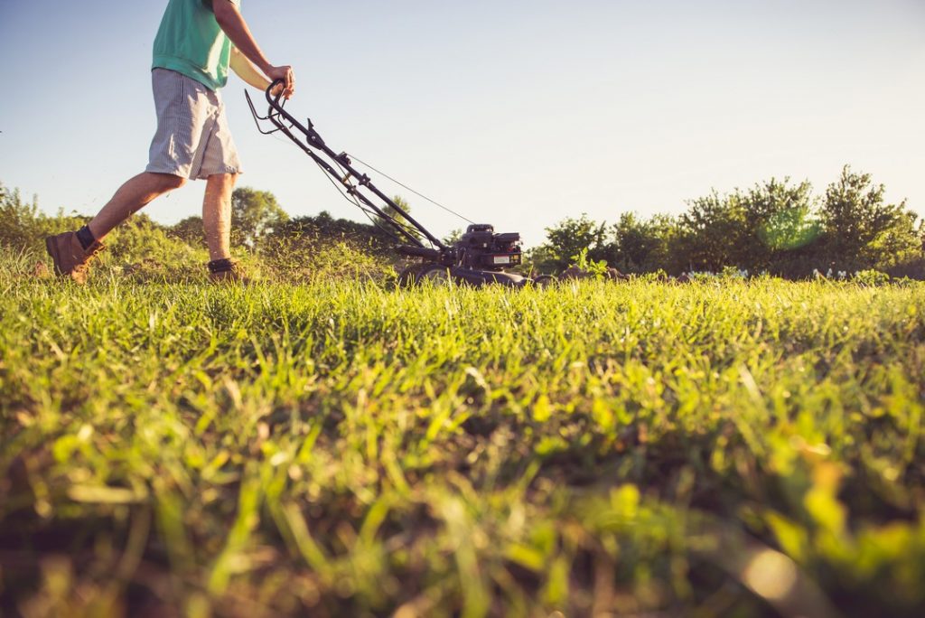 comment-entretenir-jardin