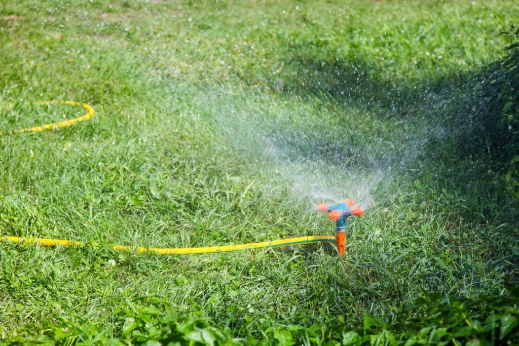 comment-realiser-entretien-jardin-absent