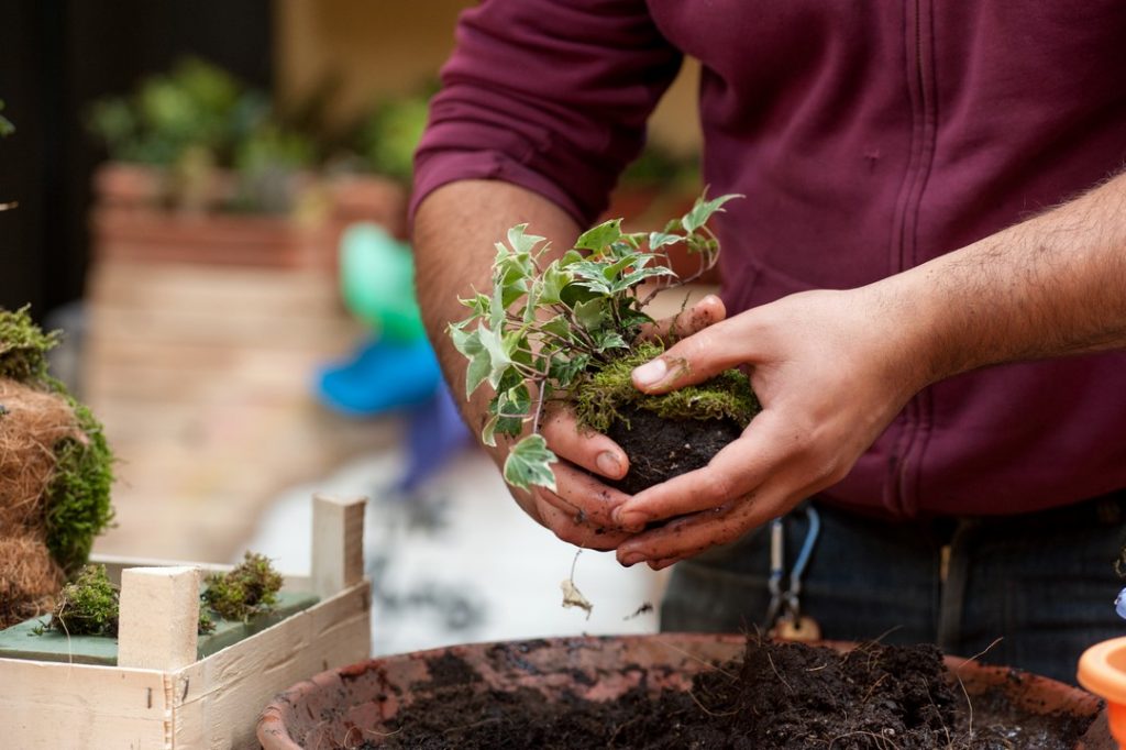 meilleures-techniques-jardinage